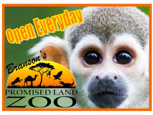 branson promised land zoo, branson zoo schedule, animals at branson zoo